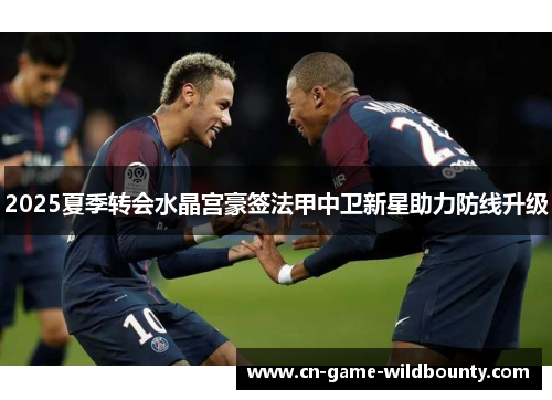 2025夏季转会水晶宫豪签法甲中卫新星助力防线升级 2025夏季转会水晶宫豪签法甲中卫新星助力防线升级