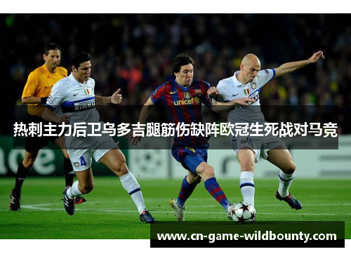 热刺主力后卫乌多吉腿筋伤缺阵欧冠生死战对马竞