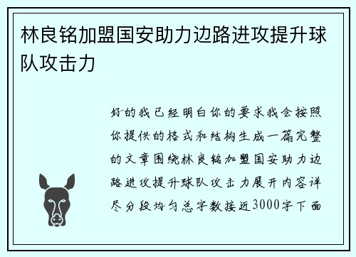 林良铭加盟国安助力边路进攻提升球队攻击力
